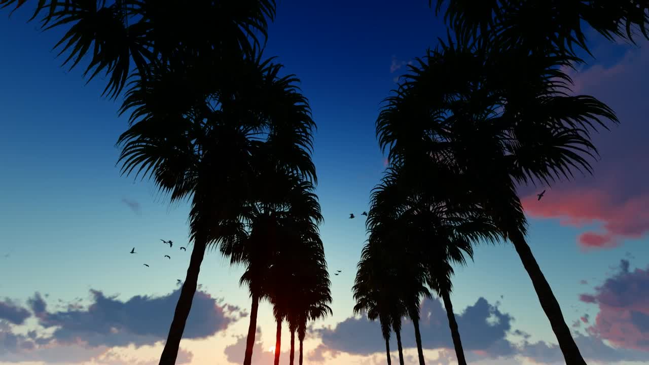 Download Stock Video Going Through A Corridor Of Palm Trees At Dusk Live Wallpaper For PC