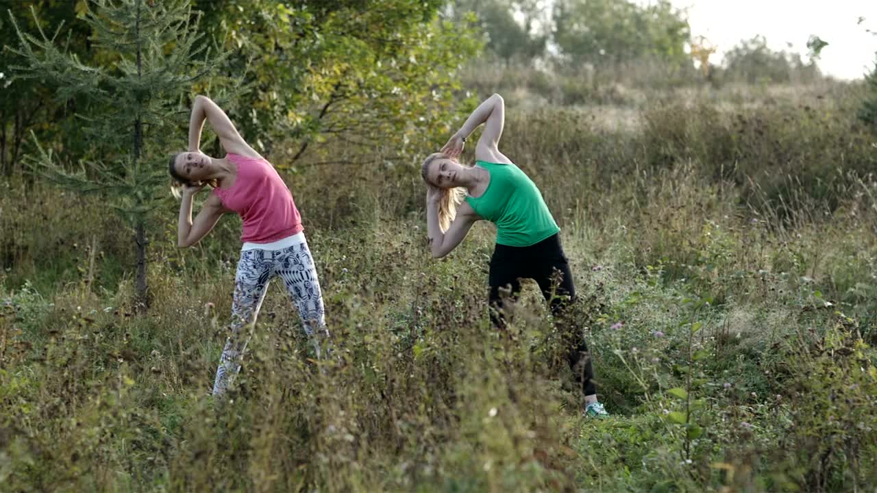 Download Stock Video Girls Stretching In A Field Live Wallpaper For PC