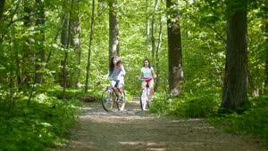 Stock Video Girls Riding Their Bicycles Through The Forest Live Wallpaper For PC