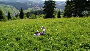 Stock Video Girls Play Sitting On The Meadow Live Wallpaper For PC