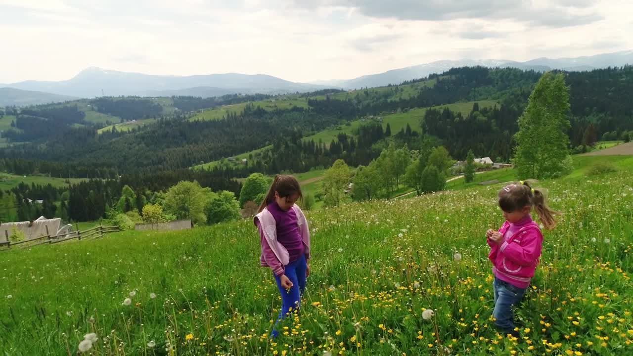 Download Stock Video Girls Cutting Flowers In The Meadow Live Wallpaper For PC