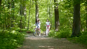 Stock Video Girls Crossing Through A Forest On A Bicycle Live Wallpaper For PC