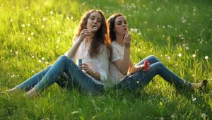 Stock Video Girlfriends Sitting In A Meadow Blowing Bubbles Live Wallpaper For PC