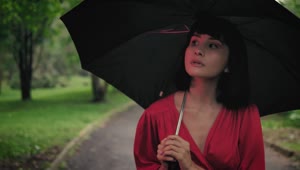 Stock Video Girl With An Umbrella Walking Through A Park Live Wallpaper For PC