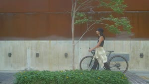 Stock Video Girl Walking With A Bicycle On The Sidewalk Live Wallpaper For PC