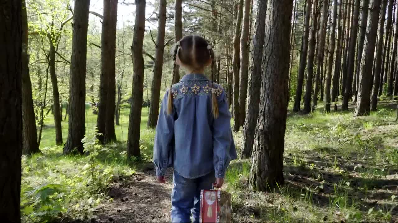Download Stock Video Girl Walking Through Woodland With Her Bag Live Wallpaper For PC