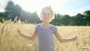 Stock Video Girl Walking Through A Wheat Field Live Wallpaper For PC