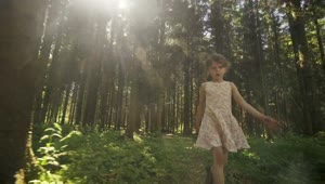 Stock Video Girl Walking Through A Forest Live Wallpaper For PC