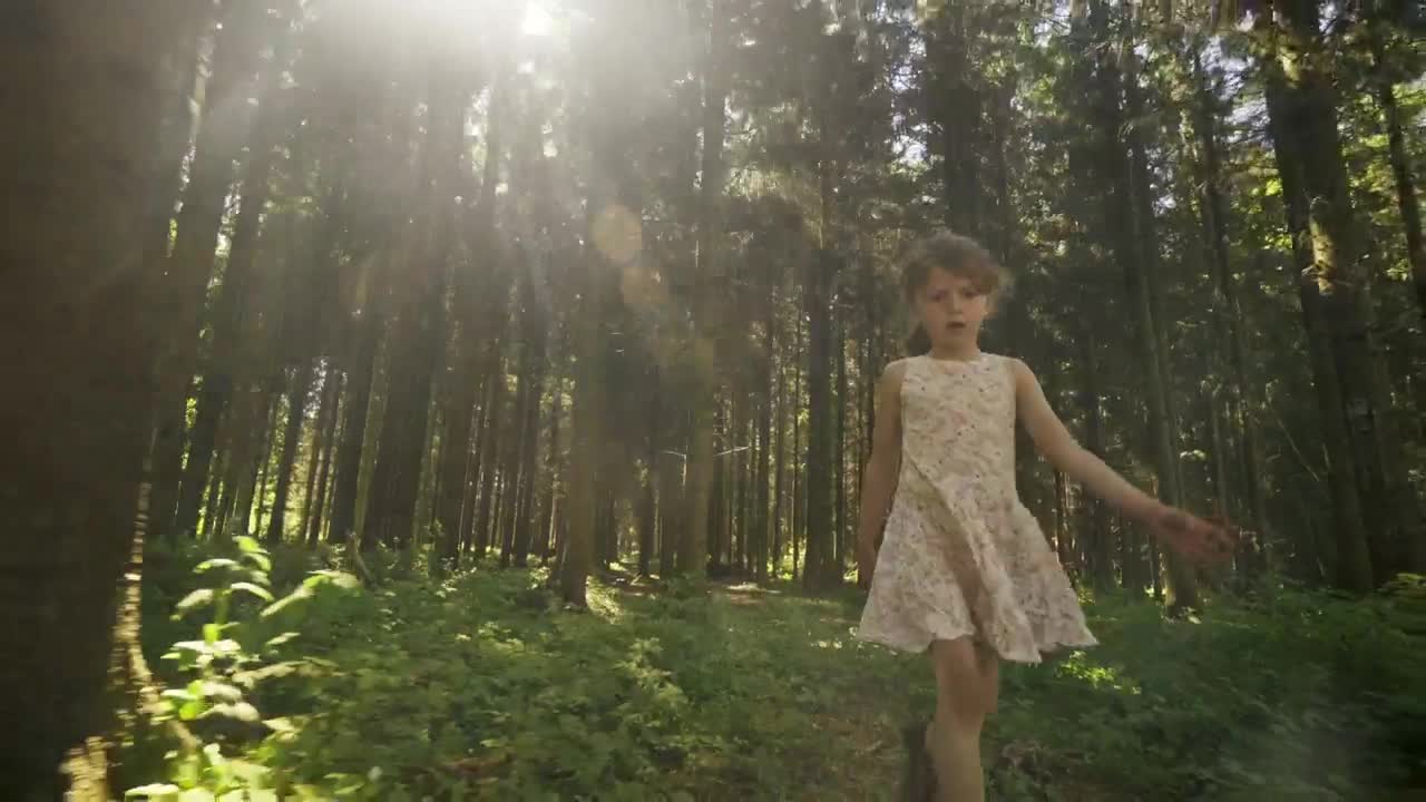Download Stock Video Girl Walking Through A Forest Live Wallpaper For PC