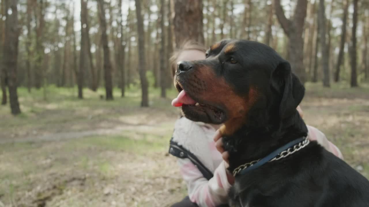 Download Stock Video Girl Stroking Her Dog In The Forest Live Wallpaper For PC