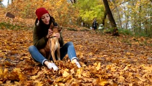 Stock Video Girl Stroking Her Dog In Nature In Autumn Live Wallpaper For PC