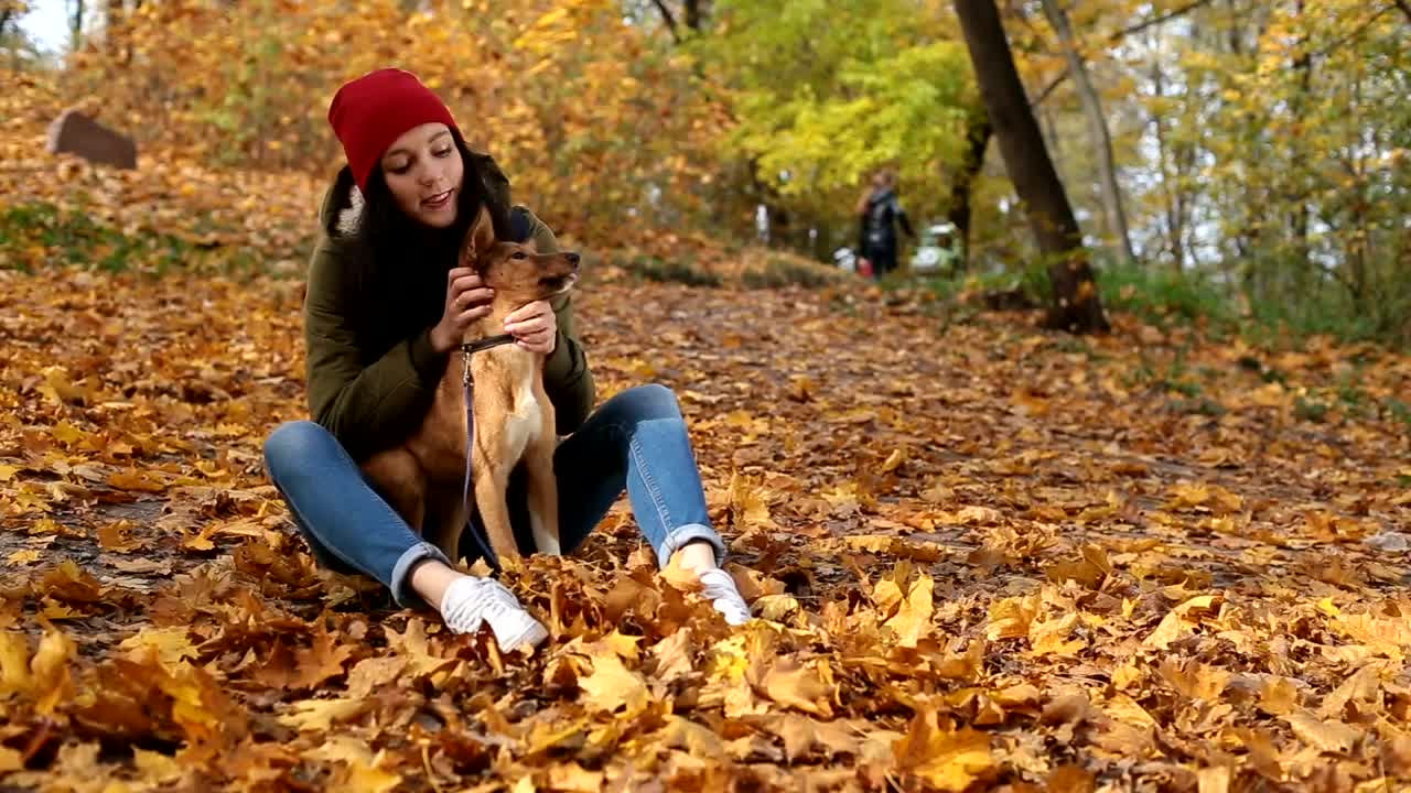 Download Stock Video Girl Stroking Her Dog In Nature In Autumn Live Wallpaper For PC
