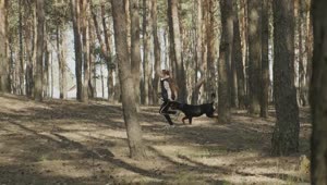 Stock Video Girl Running With Her Dog Among The Trees Live Wallpaper For PC