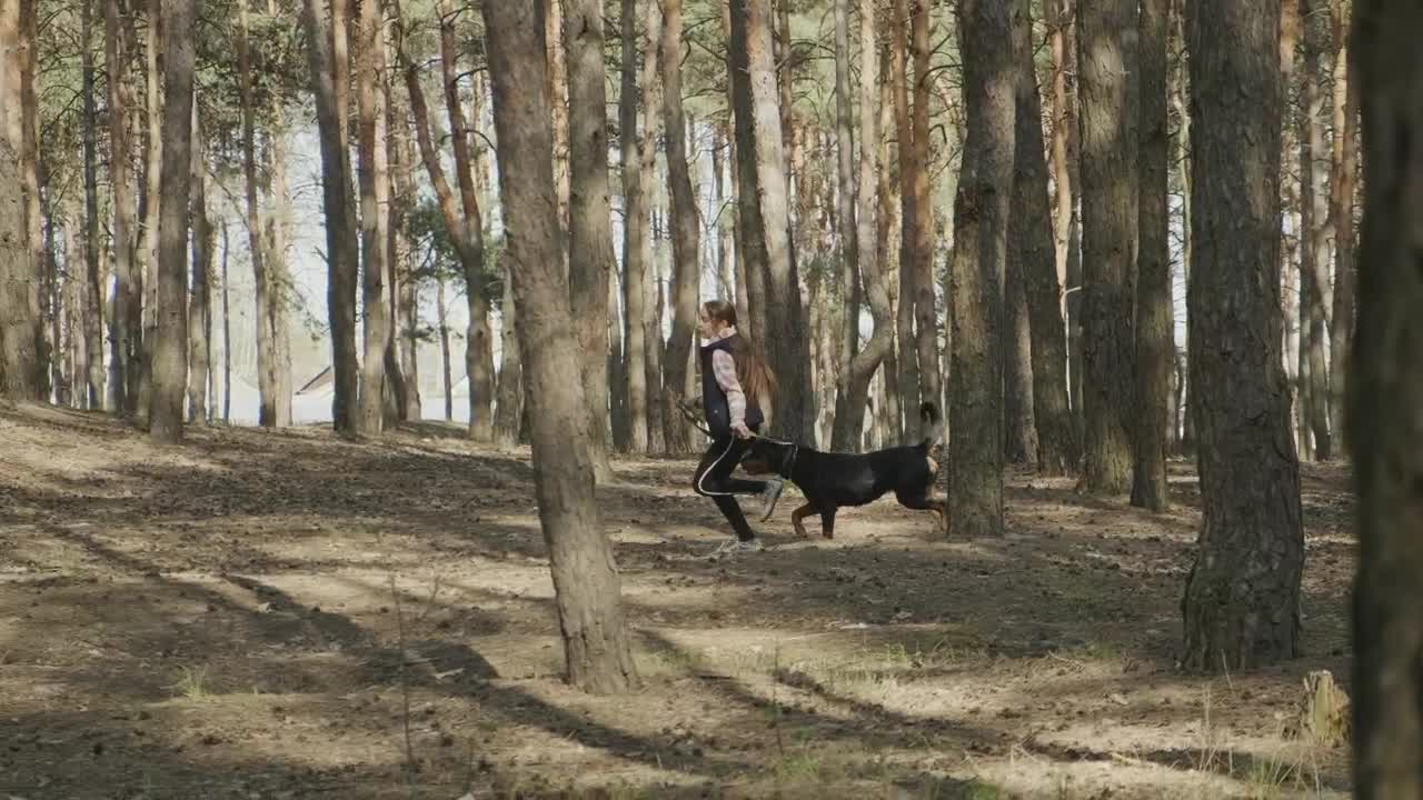 Download Stock Video Girl Running With Her Dog Among The Trees Live Wallpaper For PC