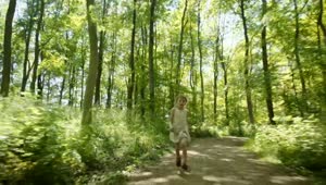 Stock Video Girl Running Through Woodland Live Wallpaper For PC