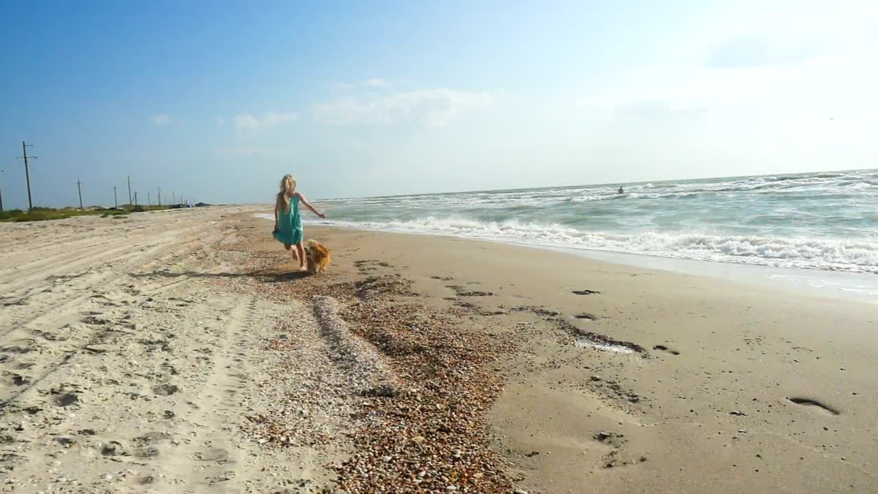 Download Stock Video Girl Running In The Beach With Her Dog Live Wallpaper For PC