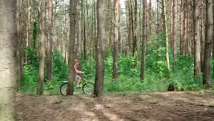 Stock Video Girl Riding A Bicycle Through A Forest Live Wallpaper For PC