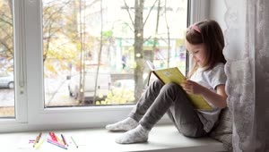 Stock Video Girl Reading By The Window Live Wallpaper For PC