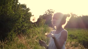 Stock Video Girl Playing With A Dandelion Flower In The Sunset Live Wallpaper For PC