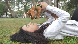 Stock Video Girl Lying On The Grass Holding Her Little Dog On Live Wallpaper For PC