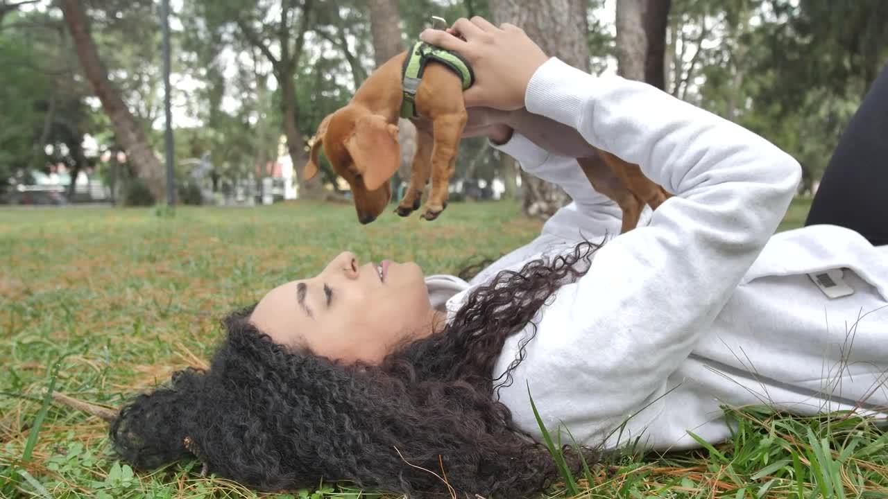 Download Stock Video Girl Lying On The Grass Holding Her Little Dog On Live Wallpaper For PC