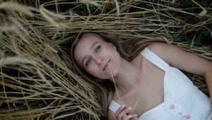 Stock Video Girl Lying On Straw In A Spinning Portrait Live Wallpaper For PC