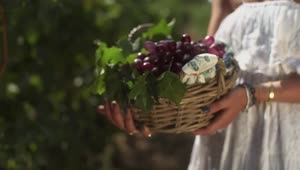 Stock Video Girl In A White Dress Holding Grapes Live Wallpaper For PC