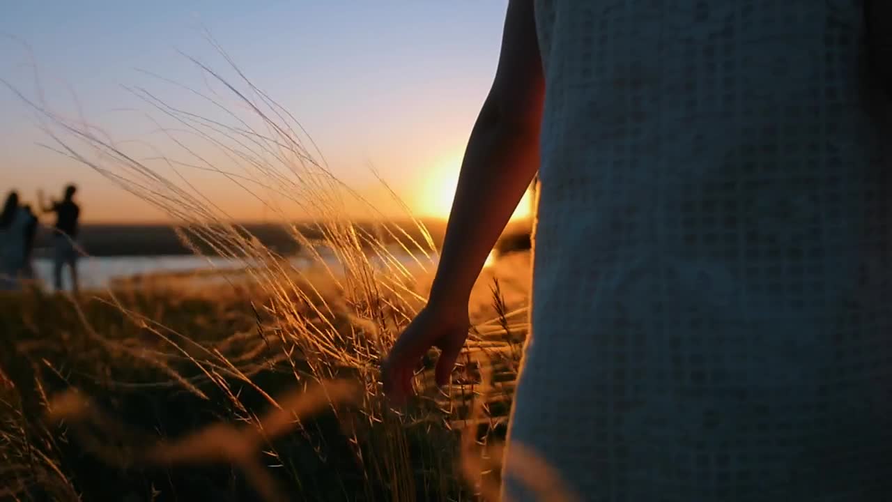 Download Stock Video Girl In A Dress Caressing The Grass At Sunset Live Wallpaper For PC