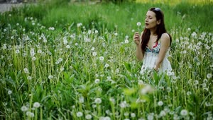 Stock Video Girl Blowing A Dandelion In A Crowded Meadow Live Wallpaper For PC