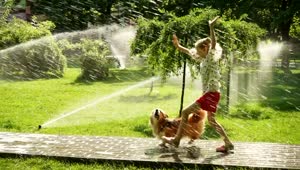 Stock Video Girl And Dog Running In The Park Path Live Wallpaper For PC