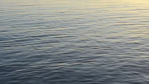 Stock Video Gentle Ripples Across The Water Live Wallpaper For PC