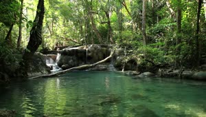 Stock Video Gentle Forest River And Waterfall Live Wallpaper For PC