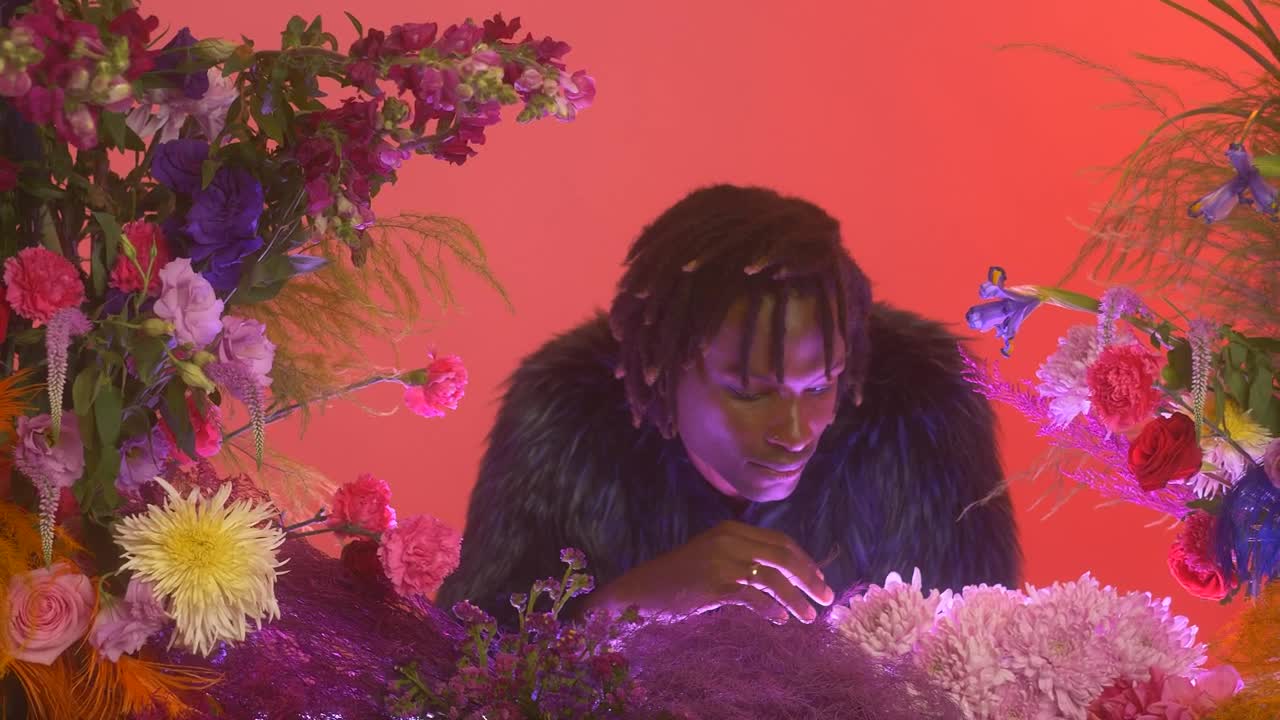 Download Stock Video Gay Boy In A Feminine Environment Surrounded By Flowers Live Wallpaper For PC