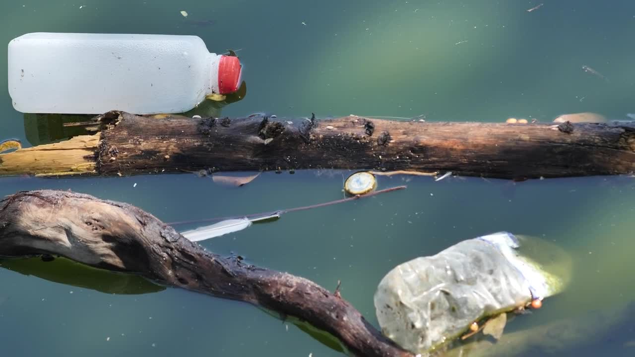 Download Stock Video Garbage In A River Very Close View Live Wallpaper For PC
