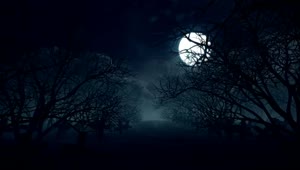 Stock Video Full Moon In The Forest On Halloween Live Wallpaper For PC