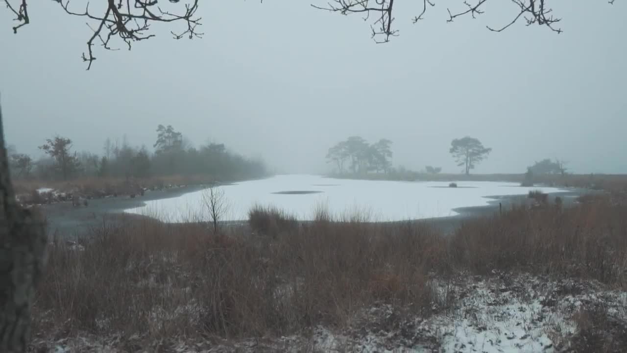 Download Stock Video Frozen Winter Lake Live Wallpaper For PC