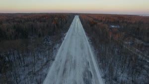Stock Video Frozen Roads Through An Empty Woodland Live Wallpaper For PC