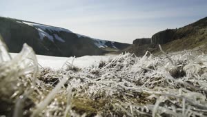Stock Video Frozen Grasslands Live Wallpaper For PC