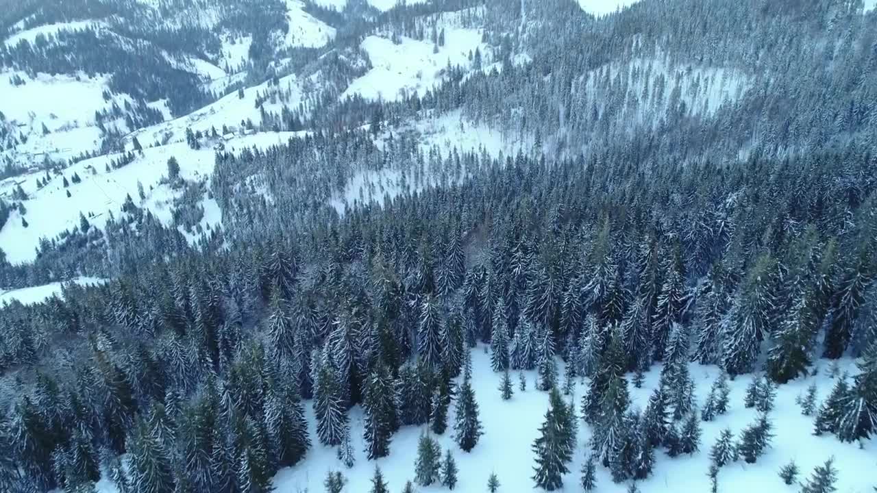 Download Stock Video Frozen Forest On A Mountain Aerial View Live Wallpaper For PC