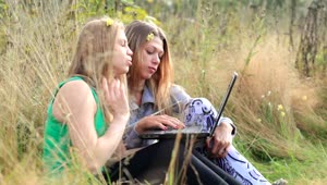 Stock Video Friends Using A Laptop In A Field Live Wallpaper For PC