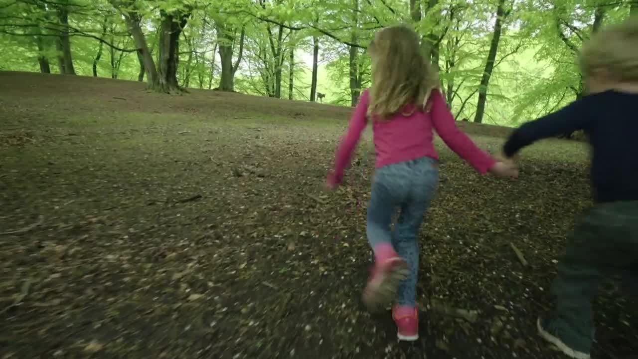 Download Stock Video Friends Running Through Trees Live Wallpaper For PC