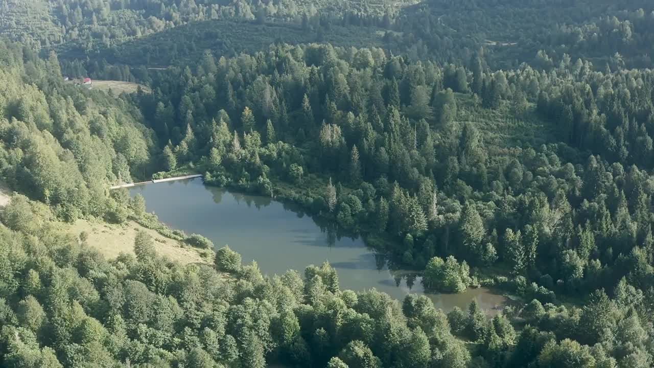 Download Stock Video Lake In The Middle Of A Forest Animated Wallpaper