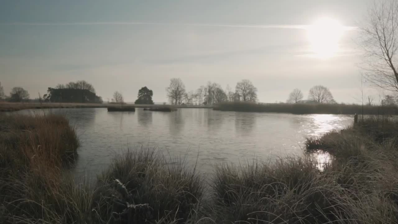 Download Stock Video Lake In A Forest During The Fall Animated Wallpaper