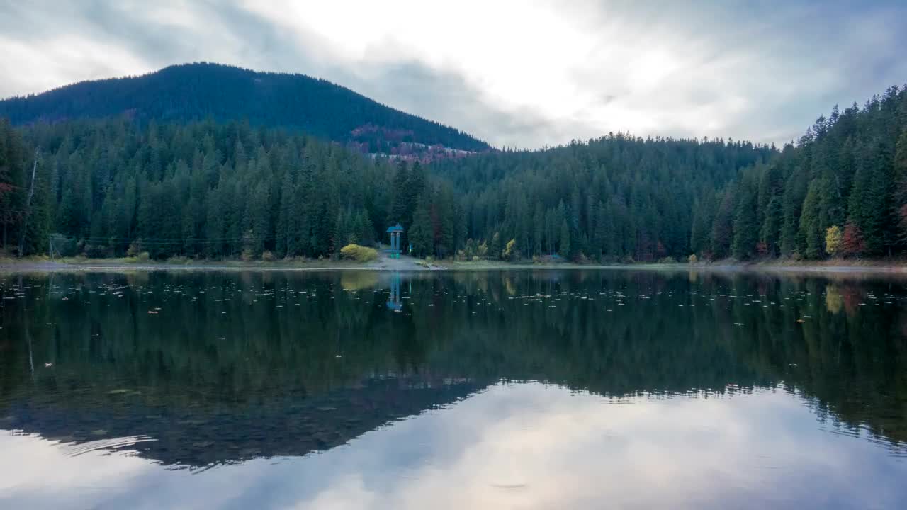 Download Stock Video Lake And The Forest Animated Wallpaper