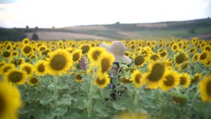 Stock Video Lady With A Hat Walking In The Crops Animated Wallpaper