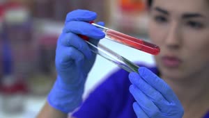 Stock Video Laboratory Worker Looking At A Test Tube Animated Wallpaper