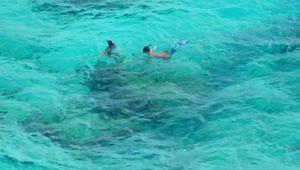Stock Video Kids Snorkeling In Tropical Waters Animated Wallpaper
