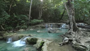 Stock Video Jungle River And Small Waterfalls Animated Wallpaper