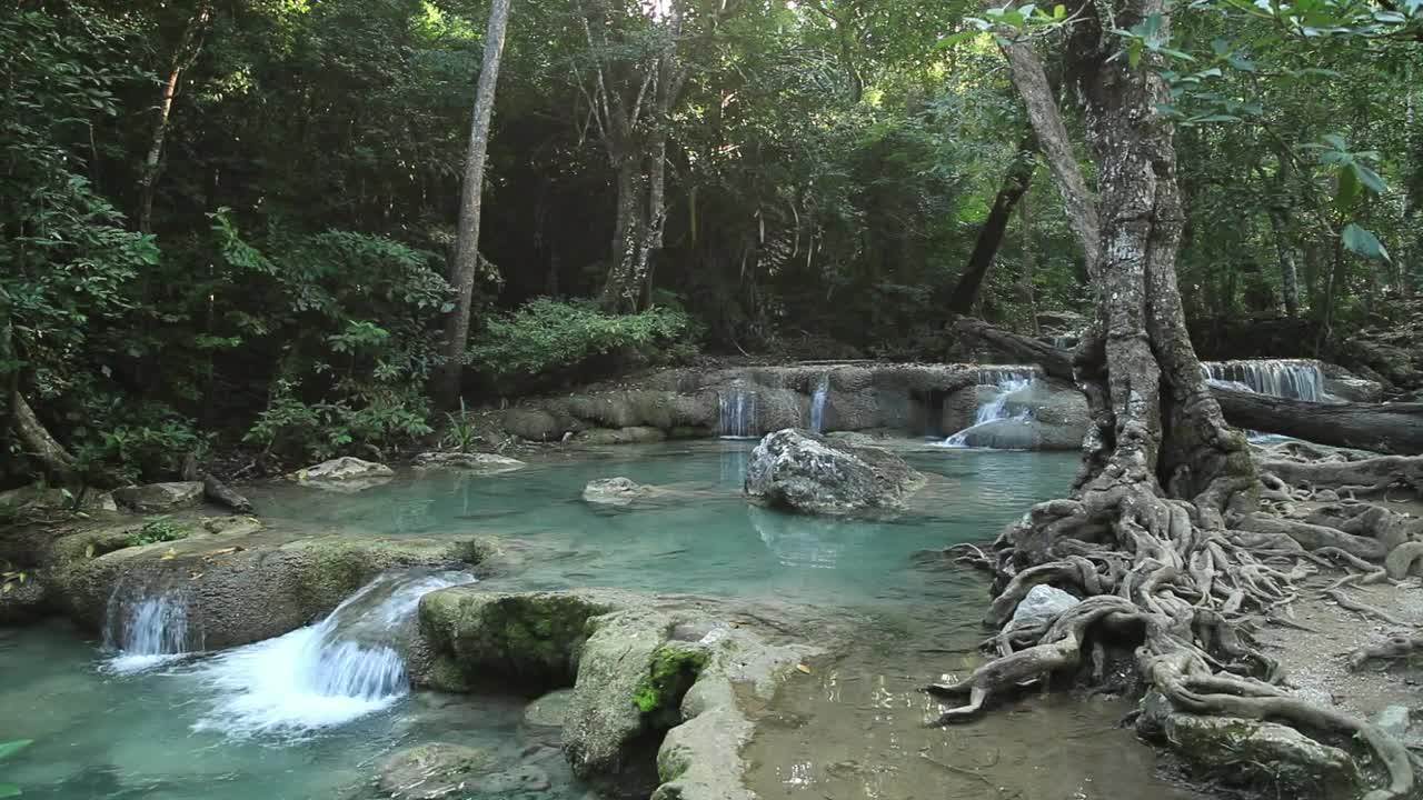 Download Stock Video Jungle River And Small Waterfalls Animated Wallpaper