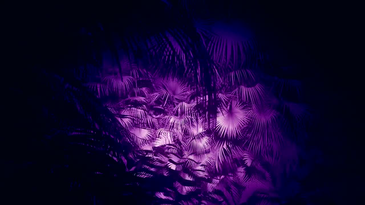 Download Stock Video Jungle Palm Trees With Purple Light Animated Wallpaper